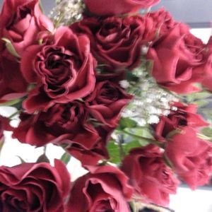 Meet your Posher, Carl